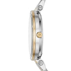 Montre femme Michael Kors Darci Mini MK3405